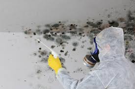 Best Residential Mold Inspection & Testing  in Monticello, UT